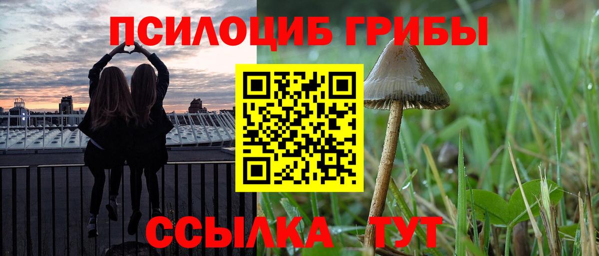 Псилоцибиновые грибы Cubensis Щёкино